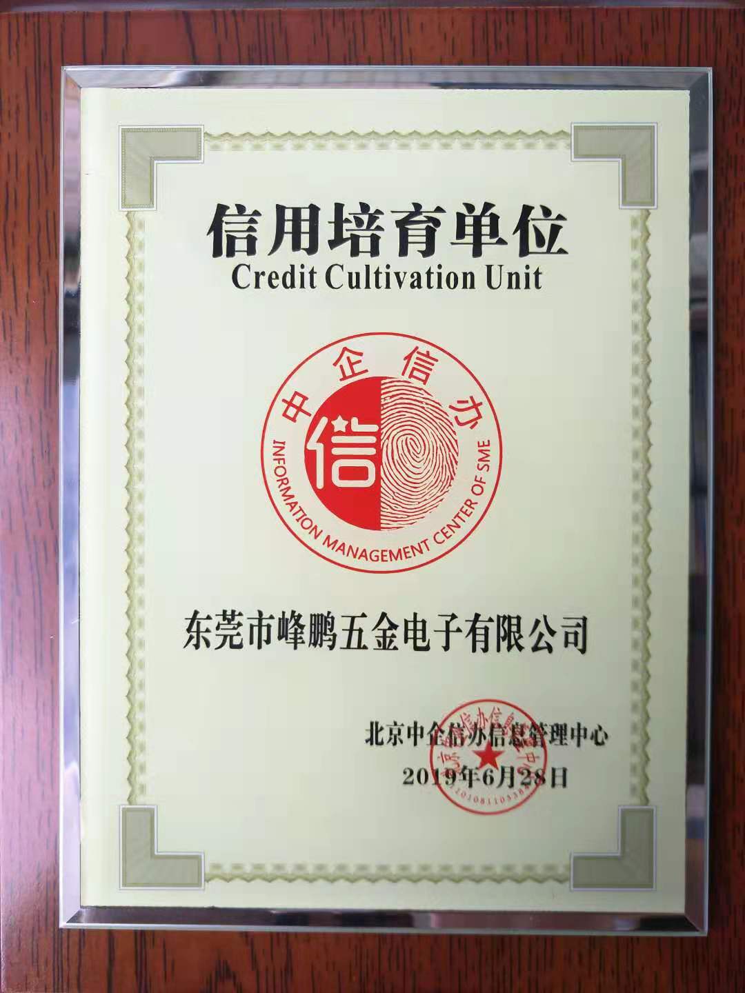 荣誉证书